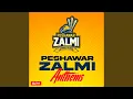Download Lagu Hum Zalmi
