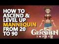 How to Ascend and Level up Mannequin from lvl 20 to lvl 90 Genshin Impact