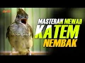 Lagu KAPAS TEMBAK GACOR NEMBAK NGEBREN SUPER JOS JIS