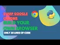 How to Build Your Own Browser Using Python Python Project PyQt5