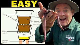 easy beginner productive worm farm 
