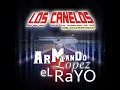 La Vida Mafiosa