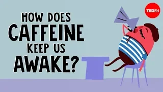 Download How does caffeine keep us awake - Hanan Qasim MP3