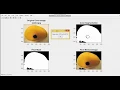 Mango Grading using Image Processing