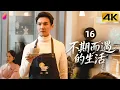 Lagu [4K Multi-sub]《不期而遇的生活》第16集丨董璇 张铎 丁勇岱 王丽云 聂远 张晞临 潘阳 Life Optimal Solution EP16