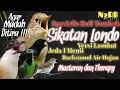Lagu (MUDAH DITIRU) SIKATAN LONDO VERSI LAMBAT - MASTERAN ROLL TEMBAK CENGKOK SPEED RAPAT TEMBAKAN PEDAS