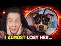 Something Scary Happened Life Update