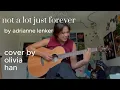 not a lot, just forever - Cover (originally by Adrianne Lenker) by Olivia Han