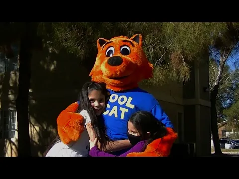 Movie Trailer - "Cool Cat vs Dirty Dog - The Virus Wars"