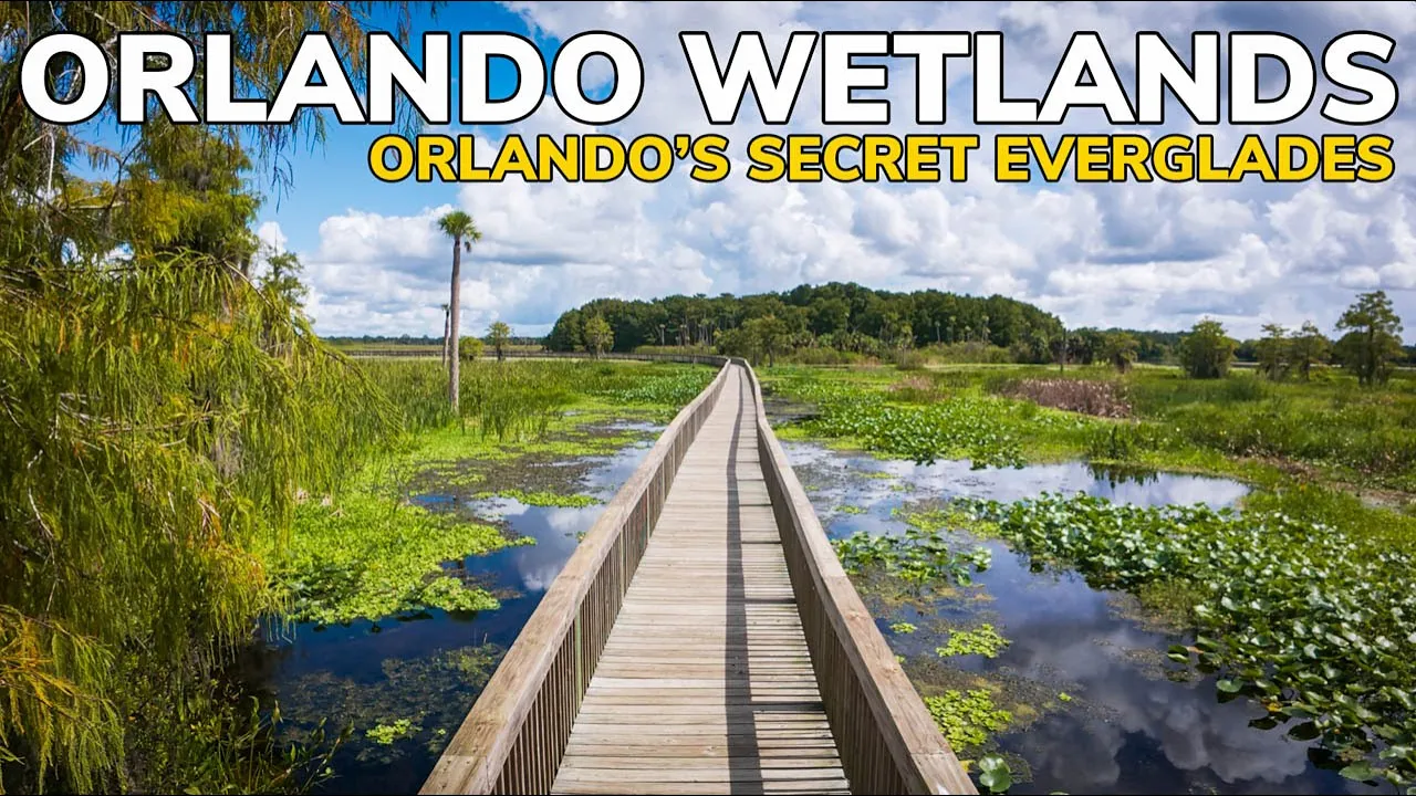 This Feels Like the Everglades… But Near Orlando!