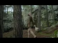 Download Lagu Aja — Absolune (Official Visualizer)