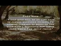 Joan Baez - Whistle Down The Wind (promo)