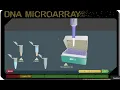 Virtual Lab DNA microarray