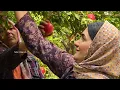 Traditional Cooking & Amazing Donkey Riding By A Girl | Village Life Iran