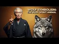 WOLF SYMBOLISM The Spiritual Meaning Behind the Wolf Spirit Animal