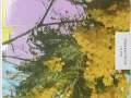 Four Tet - Into Dust (Still Falling) [Suckz' Breaks Edit]