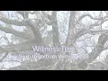 WitnessTree, from the album Witness Tree, Papa Jack Couch