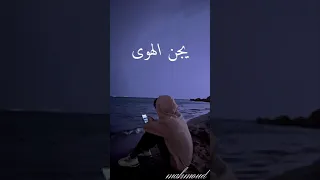 تدري حبيب الروح   دندنها