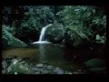 Download Lagu Pulang jo