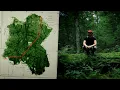 Download Lagu The Hidden Forest Between Two Worlds