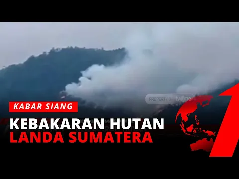 Prihatin, Kebakaran Hutan dan Lahan Melanda Beberapa Wilayah di Sumatera | tvOne