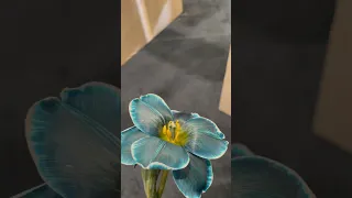 شل الدان شل يابو عوض واطربنا 