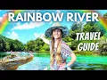 Complete Guide to Visiting Florida s RAINBOW RIVER