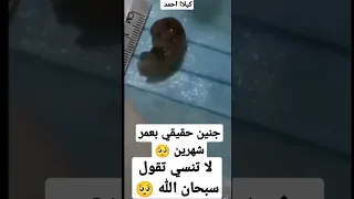 جنين حقيقي بعمر شهرين سبحان الله 