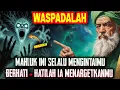 Download Lagu JIWA TERPILIH 🌟 MAHLUK INI TAHU TENTANG ANDA, MAKA KETAHUILAH MEREKA SEGERA ‼️