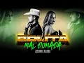 Download Lagu BRUTA MAL DOMADA - ADSON \u0026 ALANA ( novo video clipe ) sertanejo piseiro agro