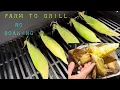 Grilled Corn On The Cob No pre-soaking Super easy