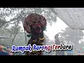 Download Lagu RAMPOKAN SINGO BARONG TERBARU - ROGO SAMBOYO PUTRO | Parangagung Puncu Kediri
