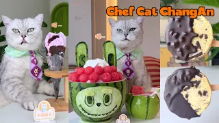 Chef Cat’s Summer Cuisine  And Relax! 🍉 |Cat Cooking Food|Cute And Funny Cat