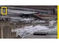 Download Lagu Rare Video: Japan Tsunami | National Geographic