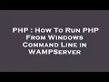 PHP How To Run PHP From Windows Command Line in WAMPServer