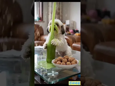 Funny Animals Funny Animal Confusion Behavior AI Creation Wave Plan Dog boo Absurd Vision 🐶 P377
