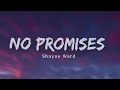 Download Lagu Shayne Ward - No Promises (Lyrics) \