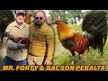 Mr Forty Penny Bates Hatch Butcher Frost Grey Bacson Peralta Farm Visit Beautiful Birds