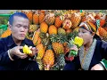 Dwarf Family Harvesting Giant Wild Pineapples to Sell at the Local Market