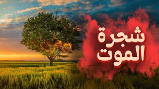 شجرة الموت الاغرب في العالم دندنها