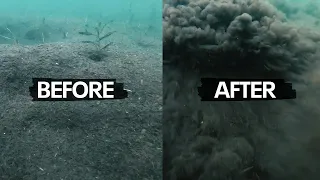 Underwater cameras reveal wakesurfing impacts on lakes