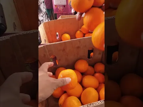 āĻ
āĻŦāĻŋāĻļāĻžāϏā§āϝ āĻĻāĻžāĻŽā§ ! āĻŦāĻžāĻĻāĻžāĻŽāϤāϞ⧠āĻĢāϞā§āϰ āĻĒāĻžāĻāĻāĻžāϰāĻŋ āĻŦāĻžāĻāĻžāϰ