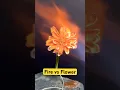 Download Lagu Fire vs Nature: The Flower Test #fire #flowers #vs #experiment #science