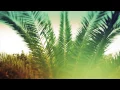 Ibiza: The Album - TV Ad