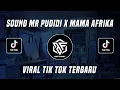 Download Lagu SOUND MR PUDIDI X MAMA AFRIKA VIRAL TIK TOK TERBARU 2022