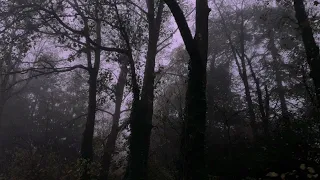 Cigarettes Out The Window TV Girl X Dangerously Yours 1944 Sped Up 