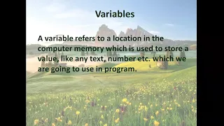 More on Visual Basic Chapter 7