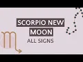 Scorpio New Moon Nov 4-20th Astrology Tarot ALL SIGNS