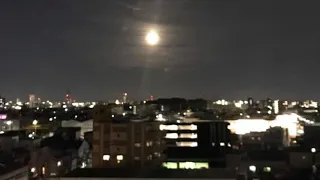 FuLL Moon in Nagoya and Sushi Restaurant in Japan