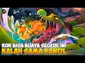 Download Lagu Cerita Kancil Cerdik, Sang Penyelamat Hutan‼️- DONGENG SANG KANCIL (2024)